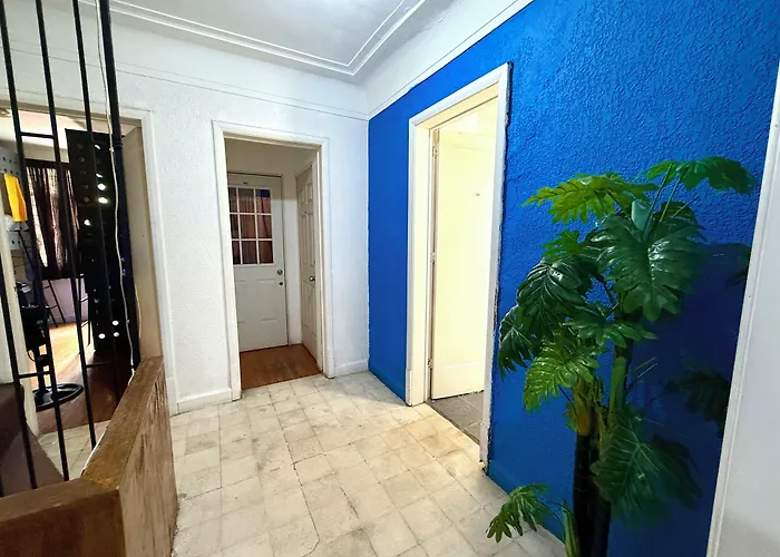 Ostello Roomies Condesa Città del Messico